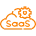 SaaS & Cloud-Based Development