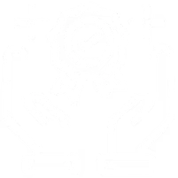 Custom AI Implementation